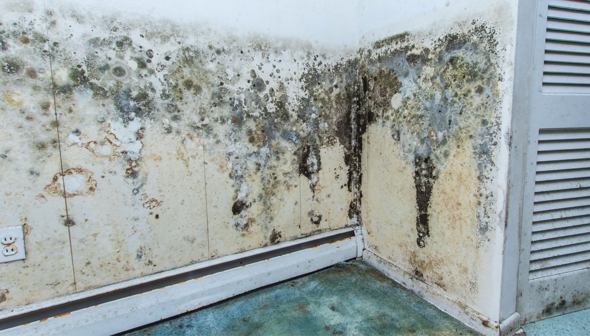 Professional mold removal, odor control, and water damage restoration service in Garland, TX.