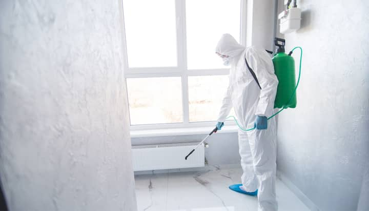 We provide the highest-quality mold inspection, testing, and removal services in the Garland, TX area.